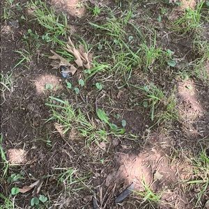 Meet your Posher, Erik